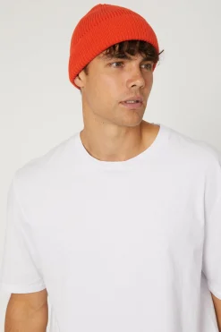 Headwear><noscript><img width=