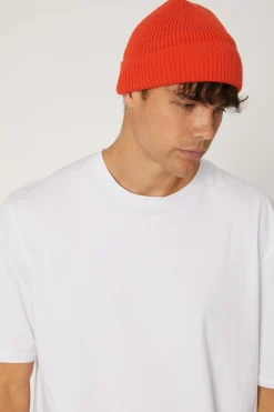 Headwear><noscript><img width=